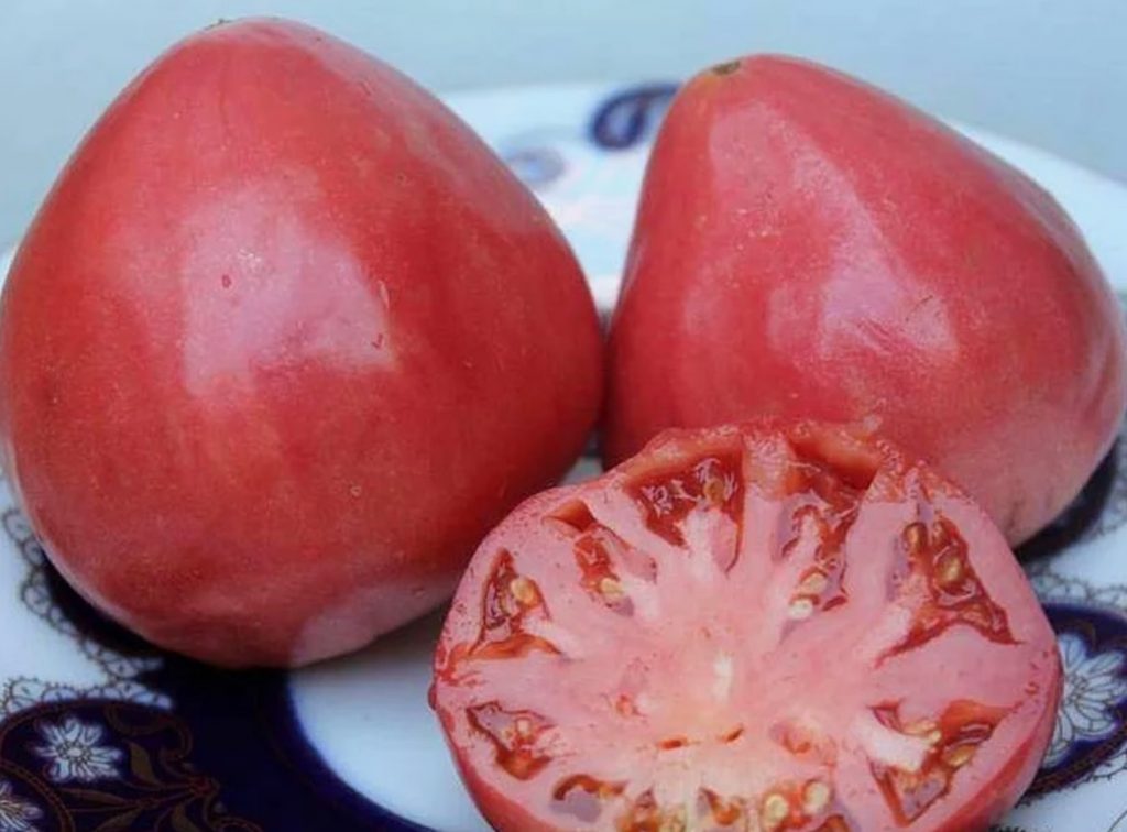 Hiiglaslike köögiviljade kasvatamine ilma kemikaalideta: saladused, millest naabrid vaikivad