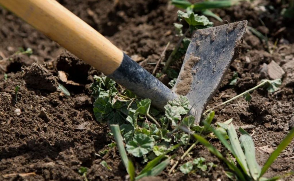 Kas on võimalik vabaneda väävelkõrrest suvilas