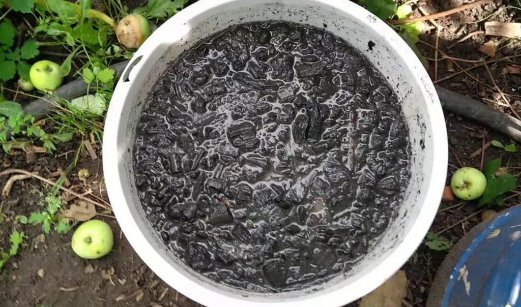 Puistasin peenrale ja sibulad on nagu rusikad