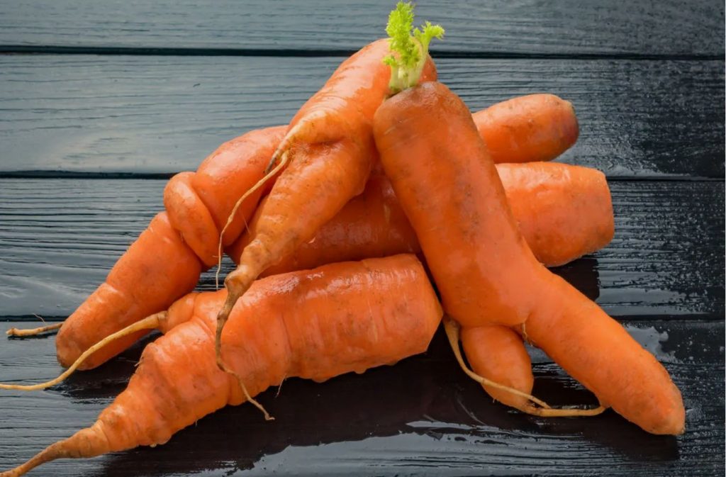 Kuidas kastada porgandeid juuni alguses, et need kasvaksid ühtlasteks ja magusateks