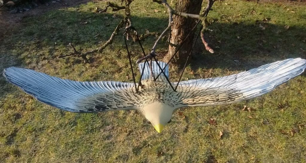 Loodussõbralik linnuhirmutis köögiviljaaeda