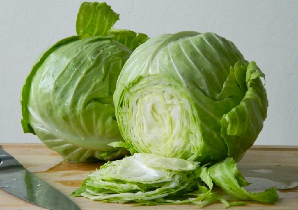 Miks pihustada kapsas piimaga: vähe tuntud meetod