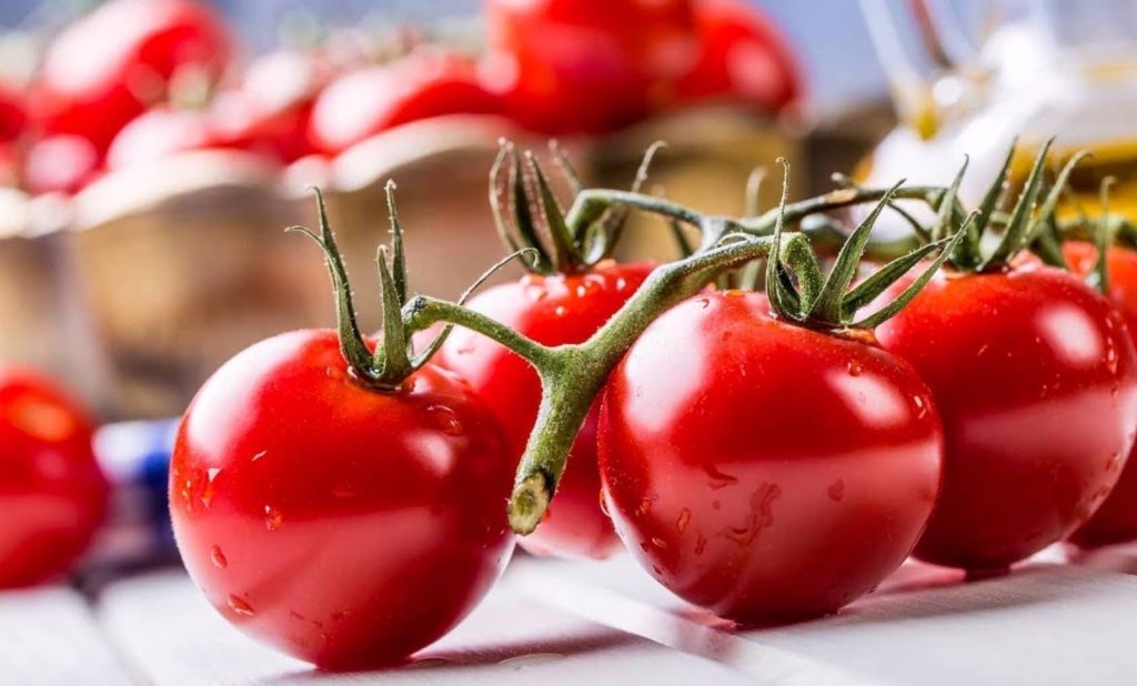 Istutage tomatite lähedale. Need tõrjuvad kahjureid ja soodustavad rikkalikku viljakandmist.