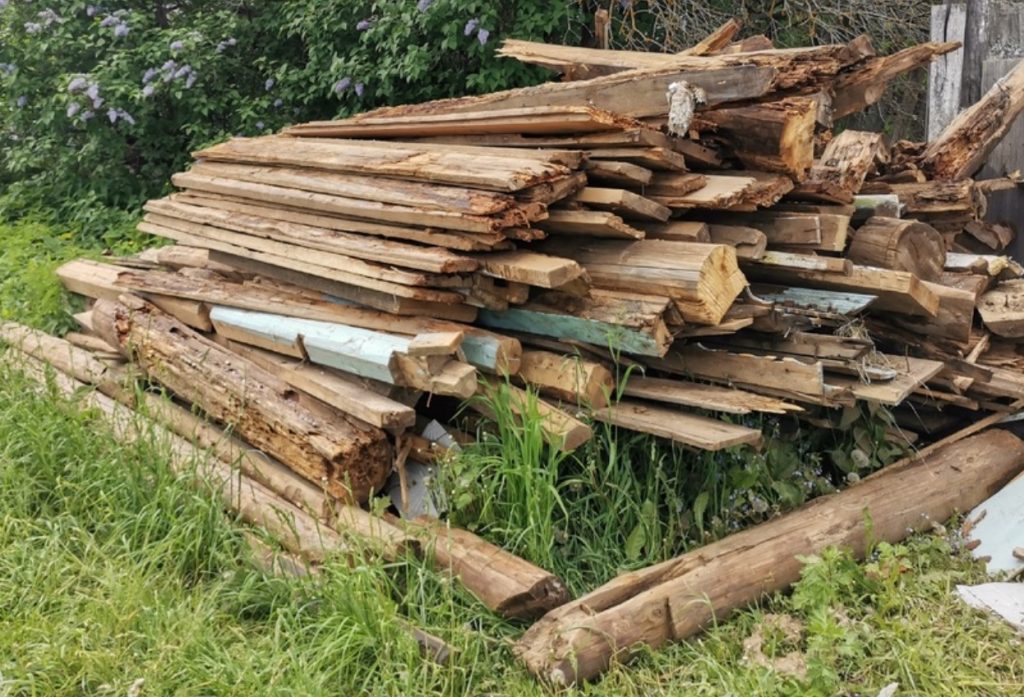 Mitte ainult linnud hävitavad kahjurid teie aias: nähtamatud kaitsjad