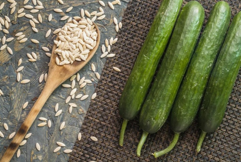Teile on valetatud tähtaegade kohta! Kurgide külvamine juunis – see ongi saladus, kuidas saada saaki kuni sügiseni