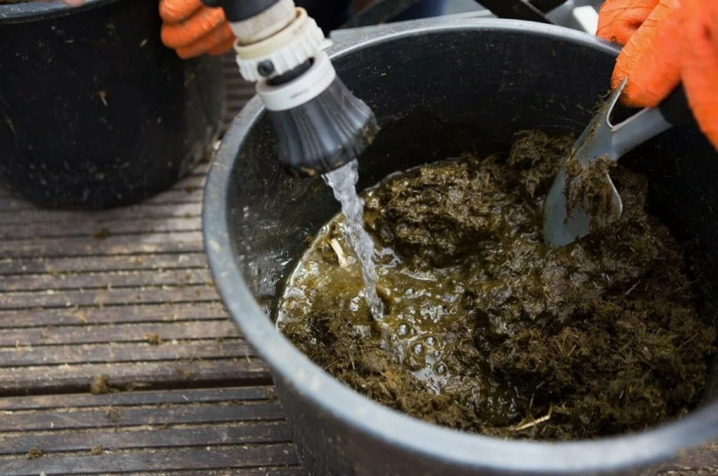Magusa peedi saladus ei ole suhkur: 5 ebatavalist lisatoitainet