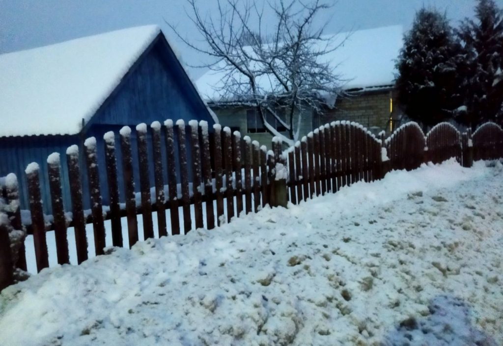Miks surevad lilled aia ääres? Nähtamatu vaenlane, kes hiilib tänavalt