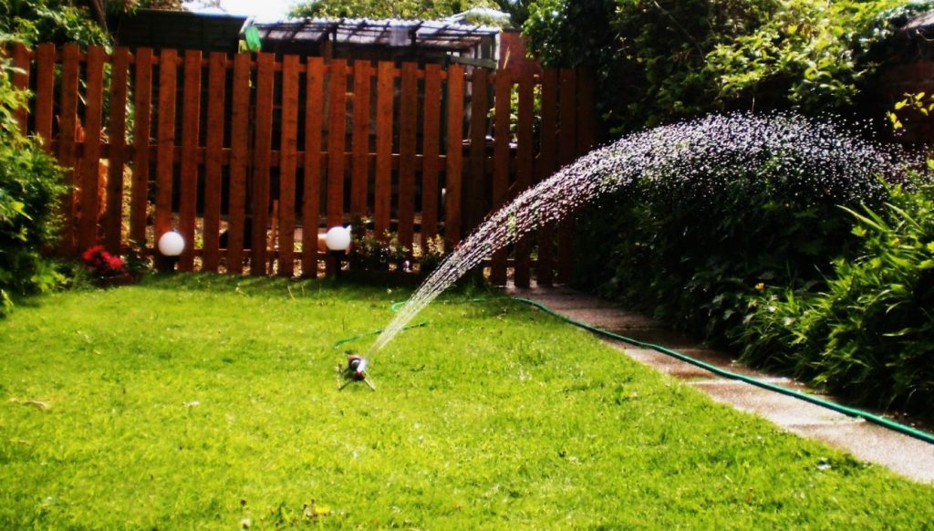 5 parimat soovitust muru hooldamiseks: kui tihti muru kevadel ja suvel niita