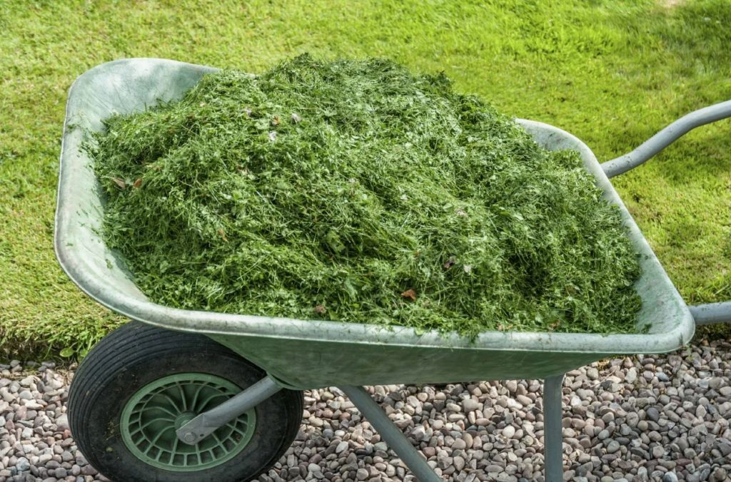 Unustage lõputu umbrohutõrje! See unustatud aianduse saladus annab teile tagasi kogu nädalavahetuse