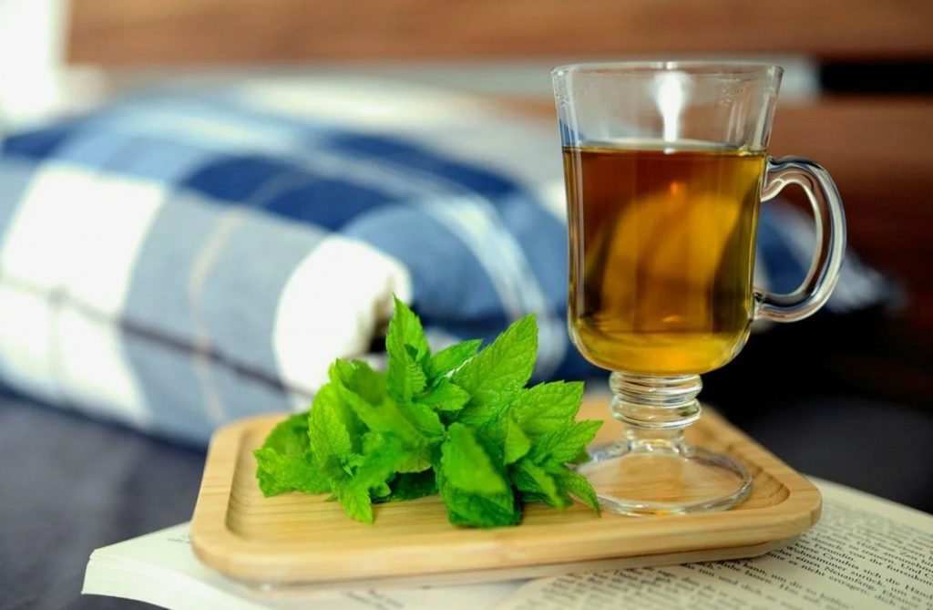 Need aromaatseid maitsetaimi kasvatavad suvitajad mitte ainult tee jaoks: maitsetaimede kasvatajate saladused