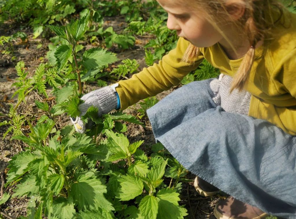 Te võitlete tundide viisi umbrohtudega, kitkudes neid välja ja visates komposti või prügikottidesse