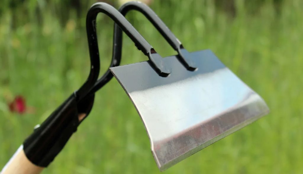 Miks ei tohi kurgi peenraid kobestada: alternatiivne viis niiskuse säilitamiseks
