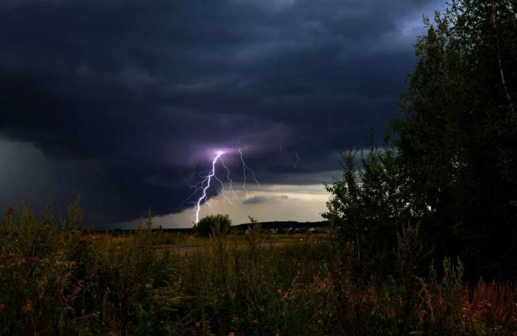 Torm tabas teid aias: kui kuulete äikest, riskite saada välk löögi