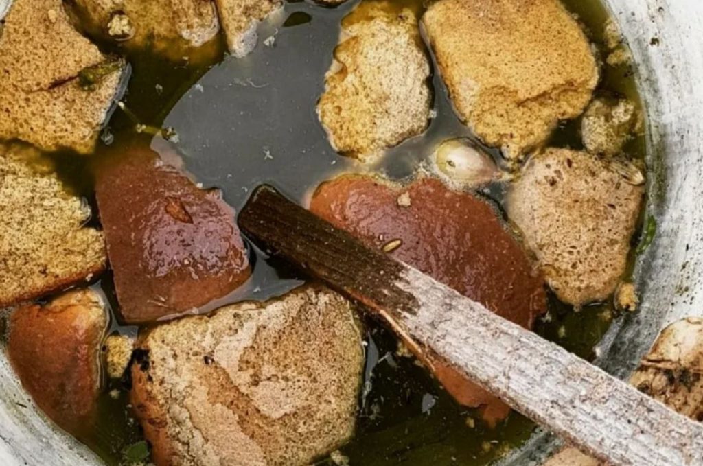 Väetiste asemel: tavaline toode muudab kurkid hiiglaslikuks – testitud peenardel