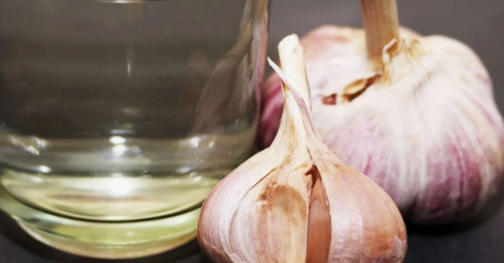 Küüslaugu kasutamine kahjurite vastu: maamehe meetod, mida tasub proovida