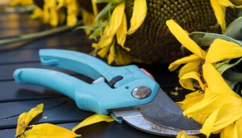 Kas teie aiatööriistad on talveks valmis? Hooldus- ja hoiustamisnõuanded