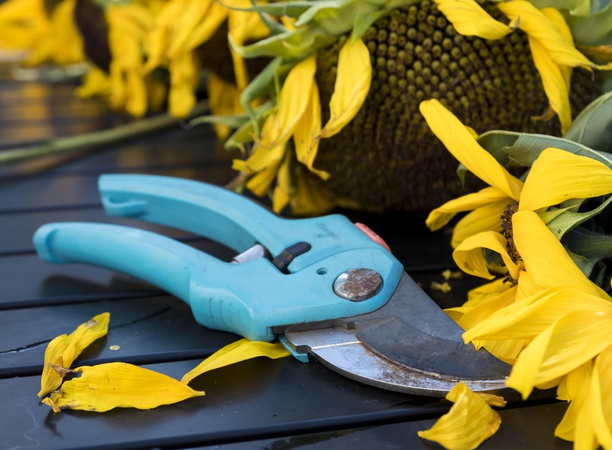 Kas teie aiatööriistad on talveks valmis? Hooldus- ja hoiustamisnõuanded