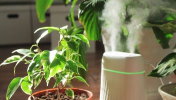 Toalilled ja kuiv õhk: kuidas neid kütteperioodiks ette valmistada