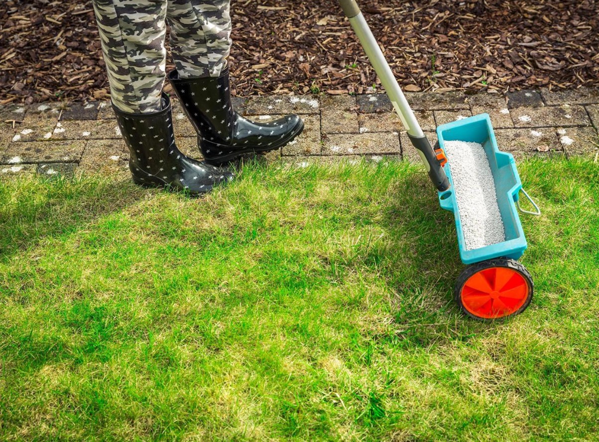 Muru väetamine sügisel: toitained külmaks hooajaks