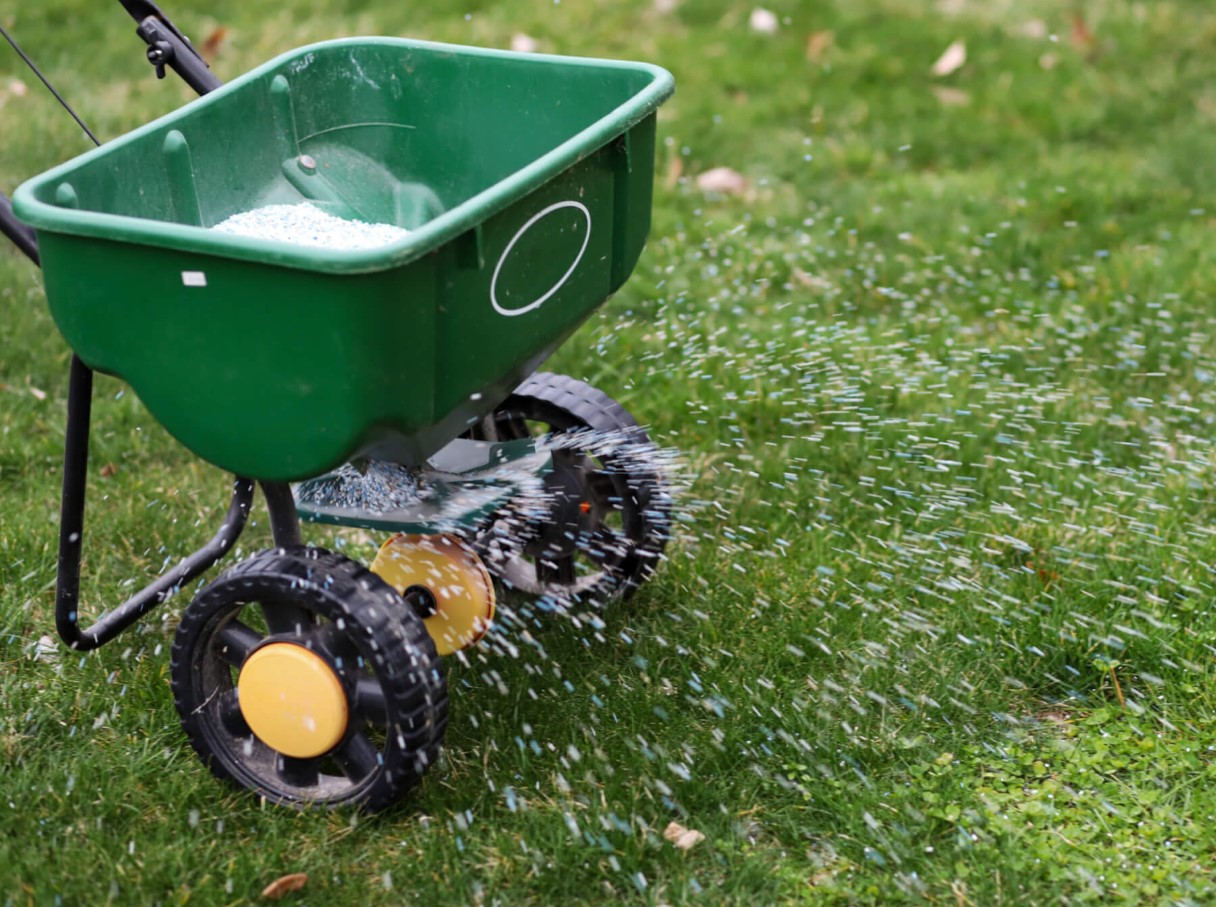 Muru väetamine sügisel: toitained külmaks hooajaks