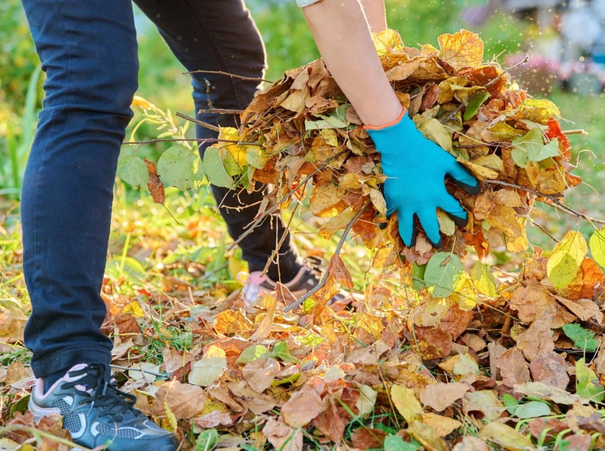 Aiapidajaid kutsutakse üles tegema oktoobris enne talve saabumist 6 olulist tööd