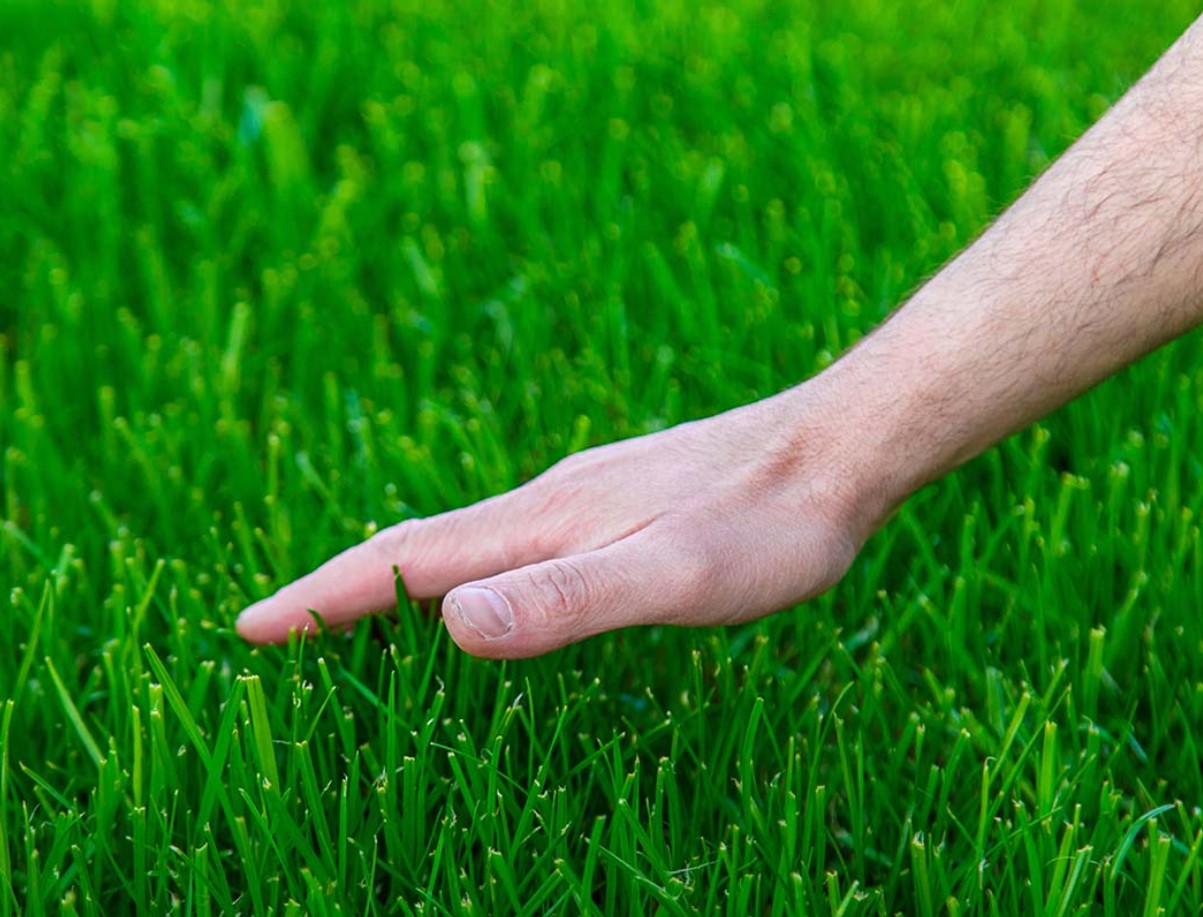 Aiapidajaid kutsutakse üles tegema oktoobris enne talve saabumist 6 olulist tööd