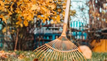 Aiapidajaid kutsutakse üles tegema oktoobris enne talve saabumist 6 olulist tööd