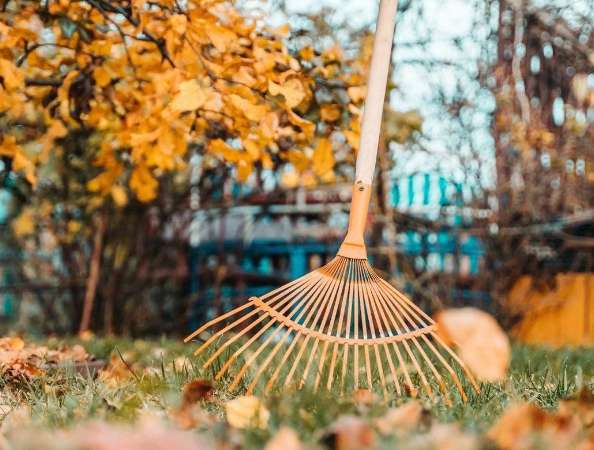 Aiapidajaid kutsutakse üles tegema oktoobris enne talve saabumist 6 olulist tööd