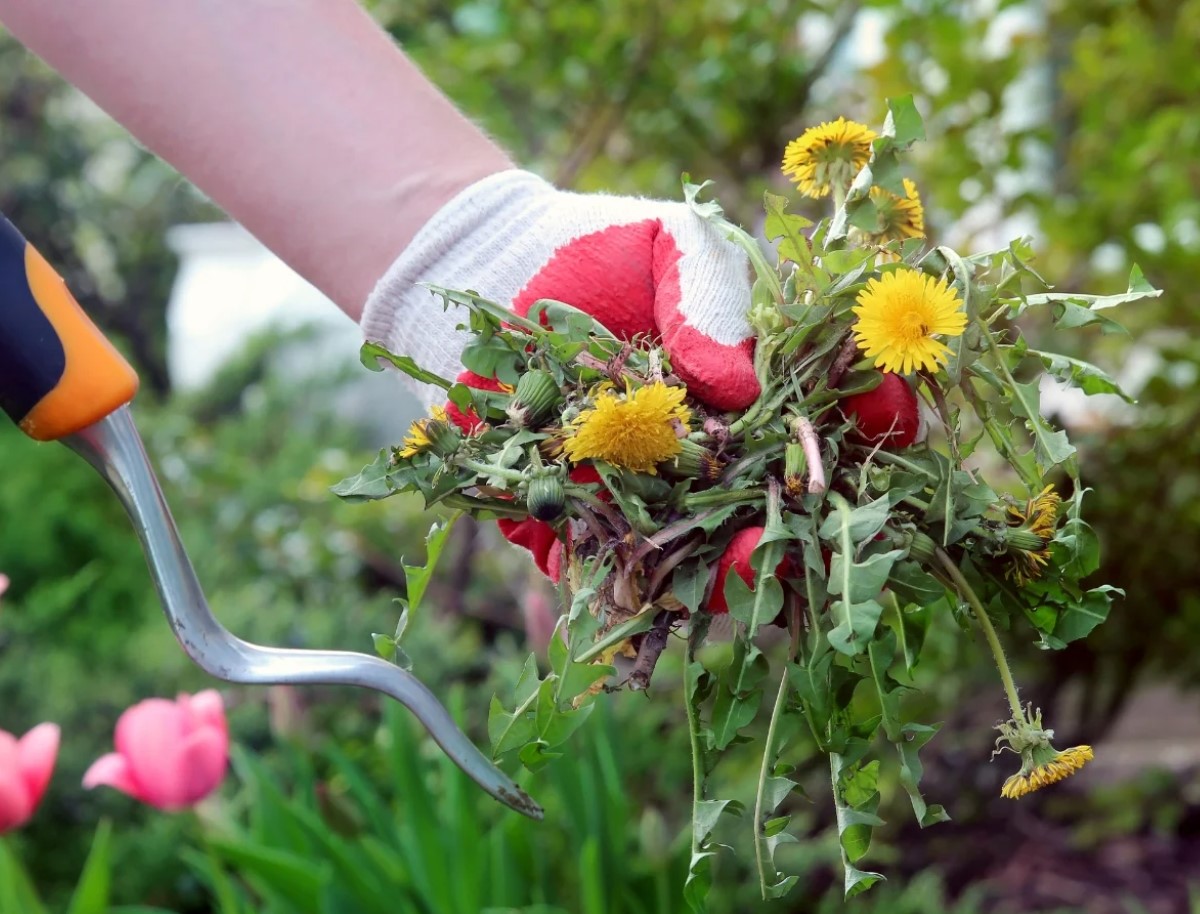 Aiapidajaid kutsutakse üles tegema oktoobris enne talve saabumist 6 olulist tööd