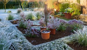 Alustage aia talveks ettevalmistamist. Parimad nõuanded taimede ja seadmete talviseks hoiustamiseks.