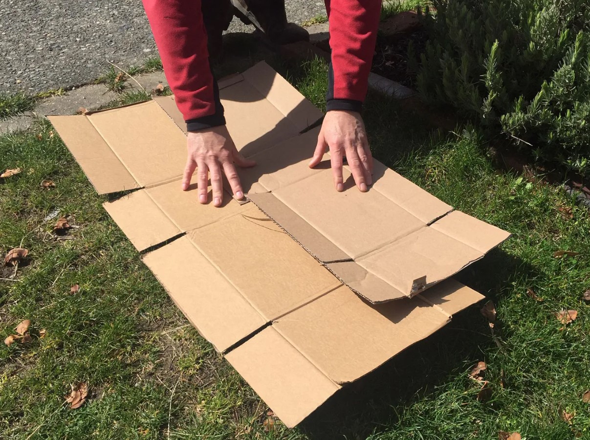 Suvitajad kutsuvad üles matma kartongikaste vooditesse ja peenardesse – siin on põhjus