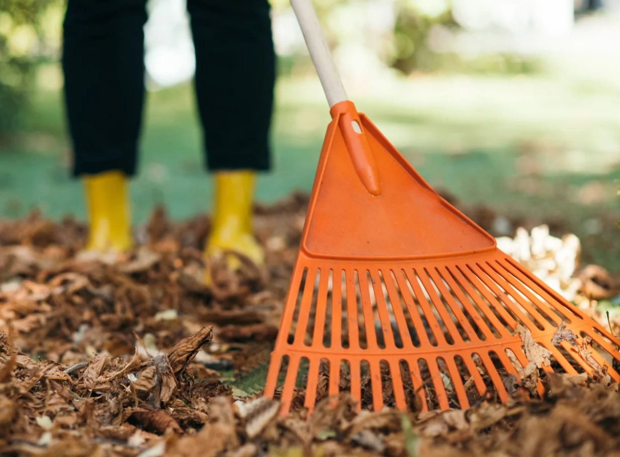 Kaitse oma taimi talvel külma eest, lisades neile kohe 1 eseme