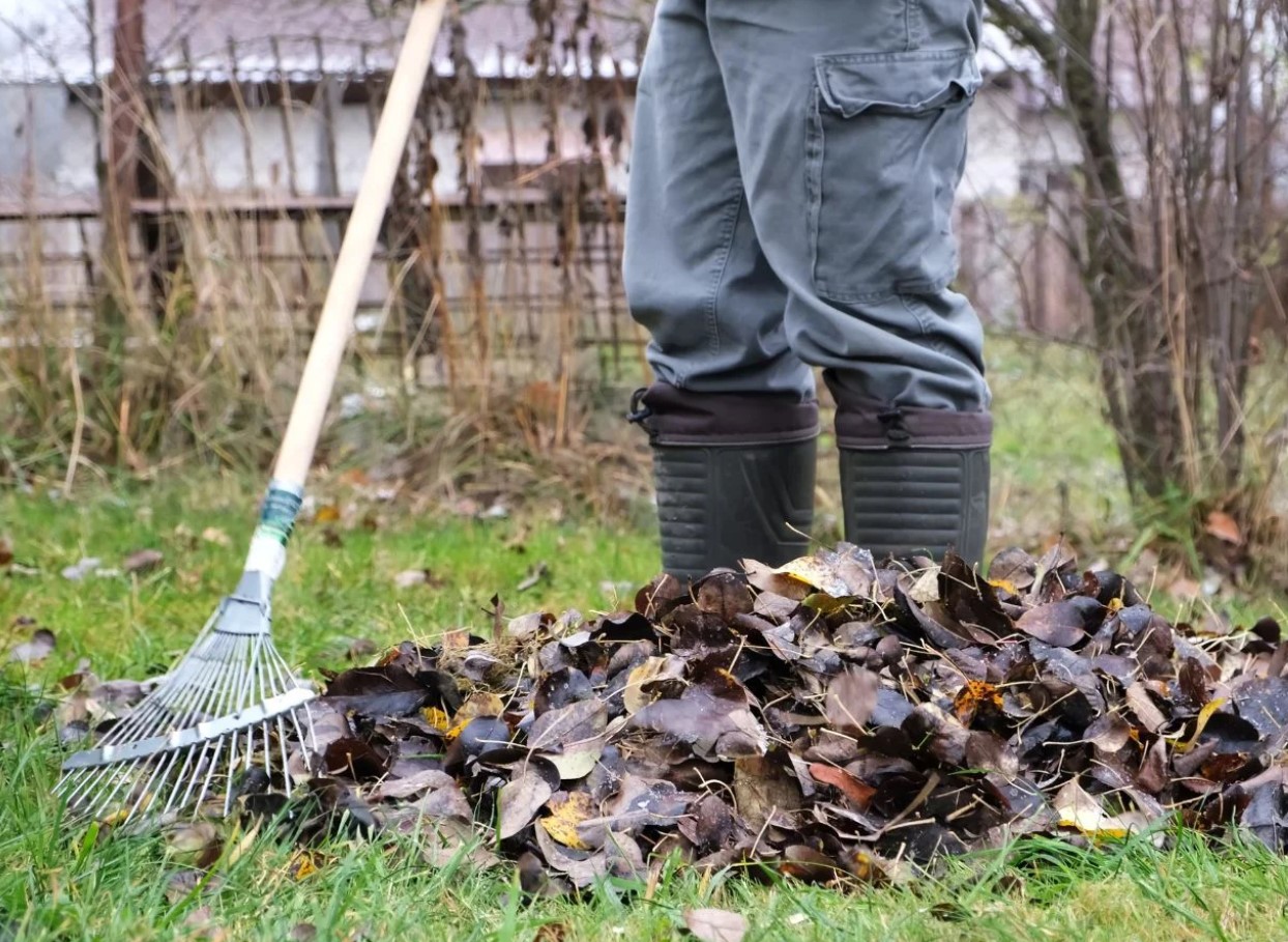 Kaitse oma taimi talvel külma eest, lisades neile kohe 1 eseme