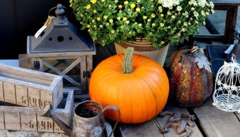 Te ei pea oma terrassi pärast suve puhkama saatma – vaadake säravaid ideid, kuidas muuta see sügiseks ilusaks.