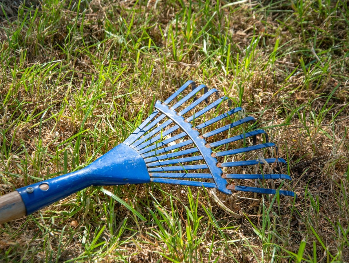 Oktoober on teie „viimane võimalus“ tagada lopsakas, roheline muru 3 lihtsa sammuga