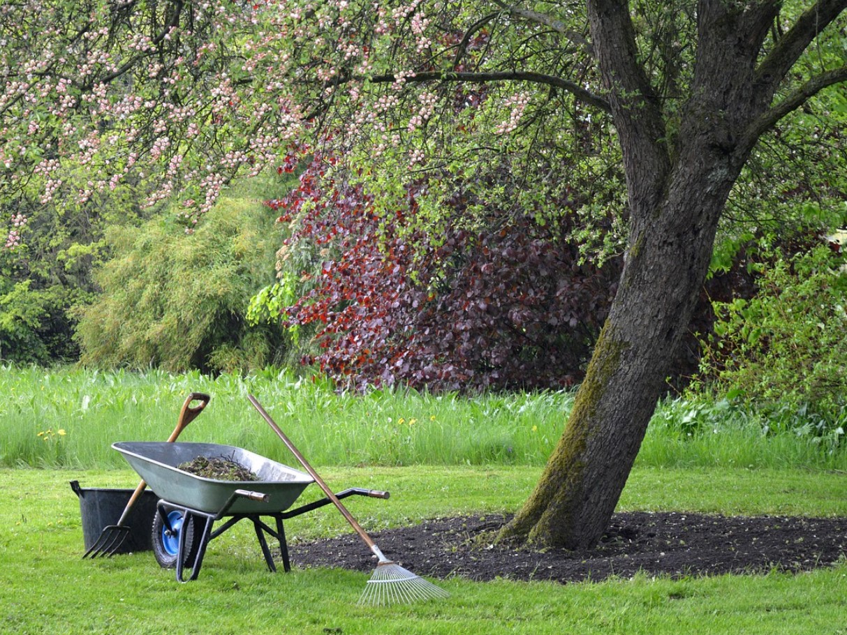 Oktoober on teie „viimane võimalus“ tagada lopsakas, roheline muru 3 lihtsa sammuga