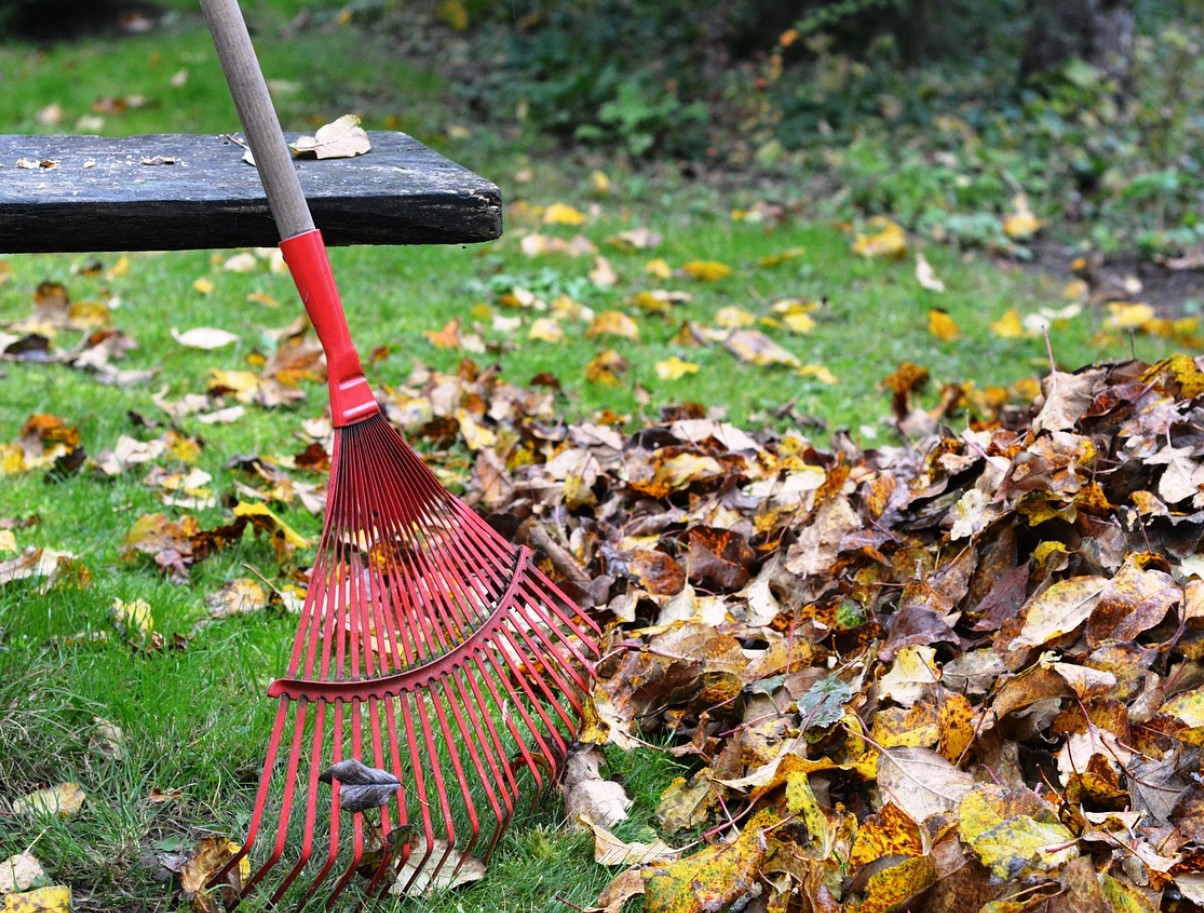 Oktoober on teie „viimane võimalus“ tagada lopsakas, roheline muru 3 lihtsa sammuga