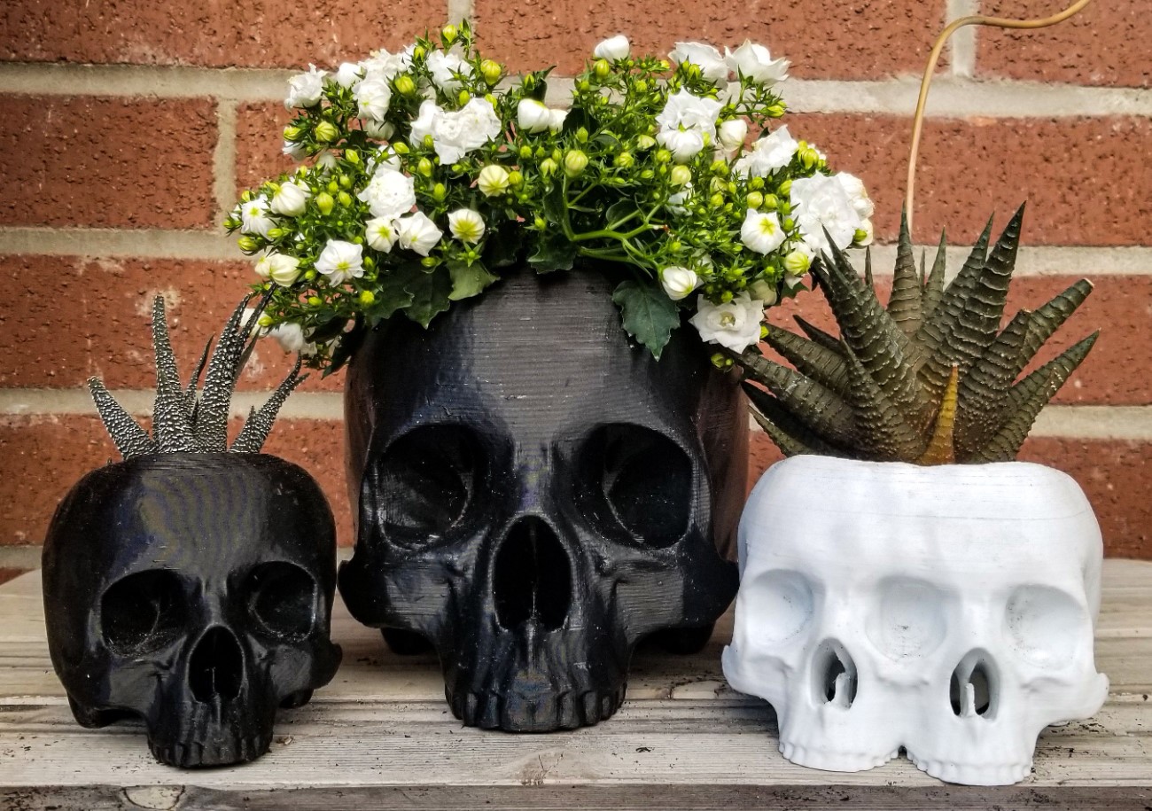 Lidl pakub müügiks viit taime, millega kaunistada kodu Halloweeni ajal: vastupidavad, hõlpsasti hooldatavad ja õuduslikult ilusad potid.