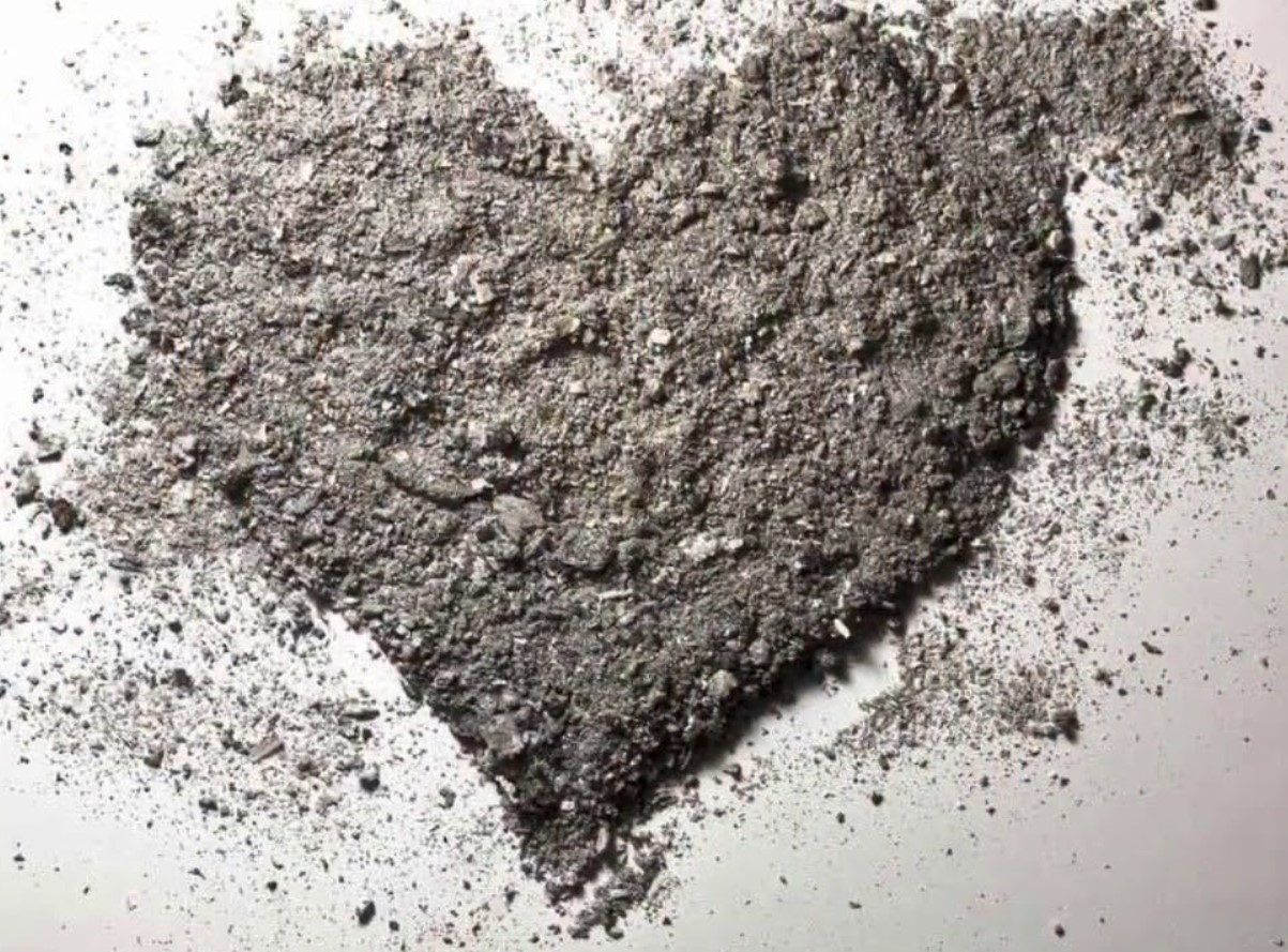 Vaarikas on nõudlik, kuid mitte haavatamatu: sügisene väetamine määrab, kui palju marju sa juunis koristad.