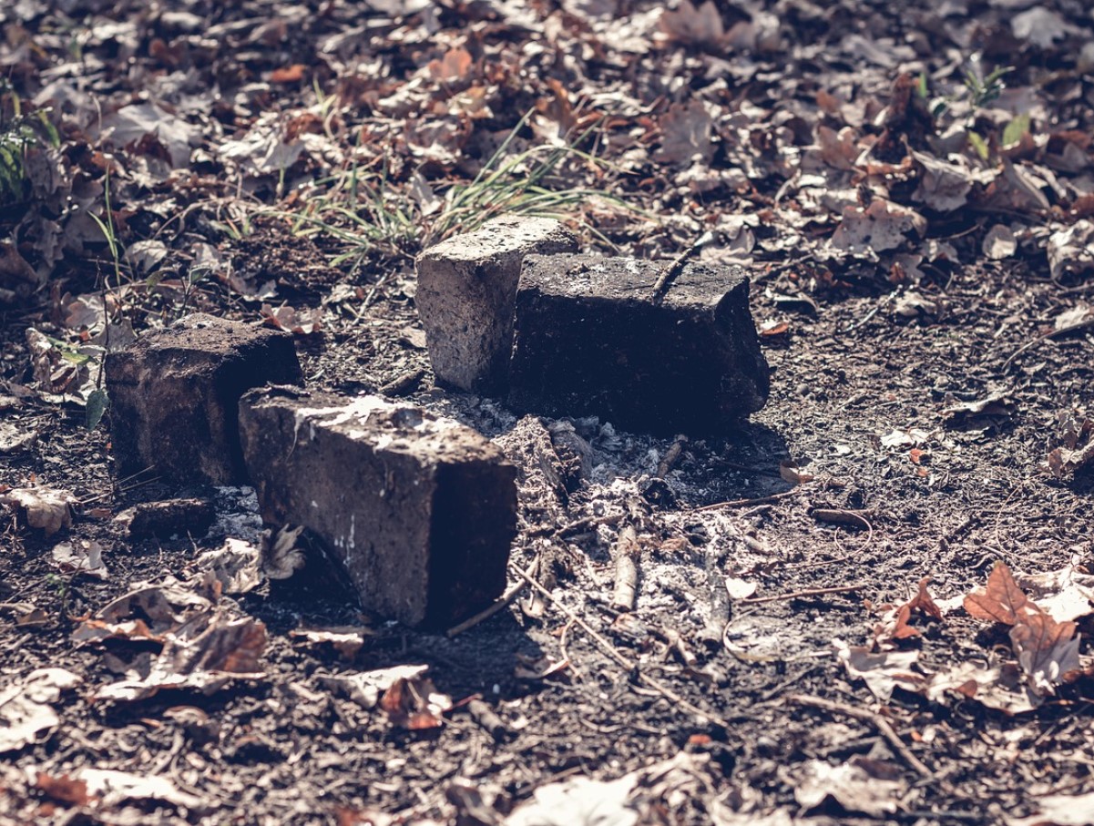 Vaarikas on nõudlik, kuid mitte haavatamatu: sügisene väetamine määrab, kui palju marju sa juunis koristad.