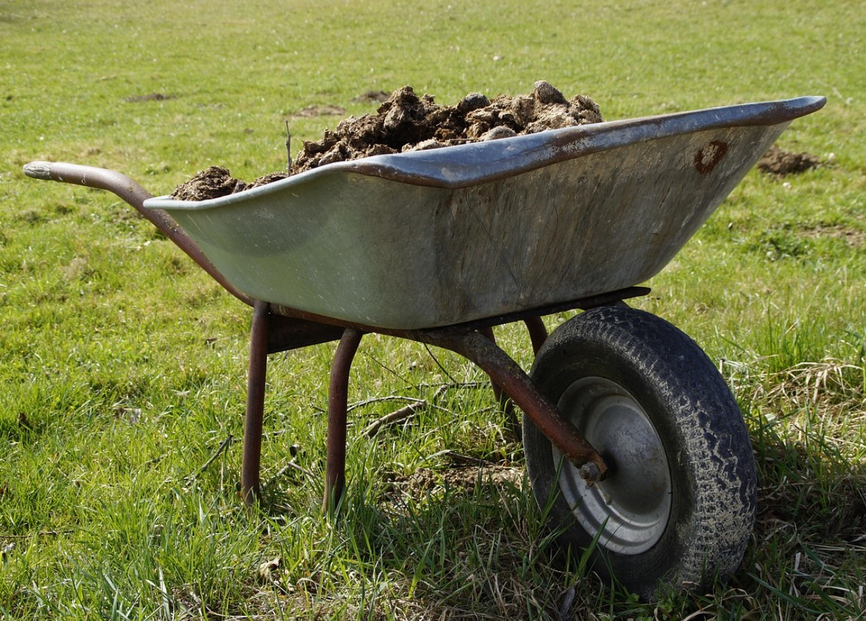 See sõnnik on aare, mida aednikud tihti tähelepanuta jätavad: see annab puudele, põõsastele ja kompostile elujõudu, kuid mitte kõik taimed ei talu seda.