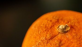 Ärge visake mandariinikoori ära! Nendest valmistatud väetis aitab teie taimedel kasvada.