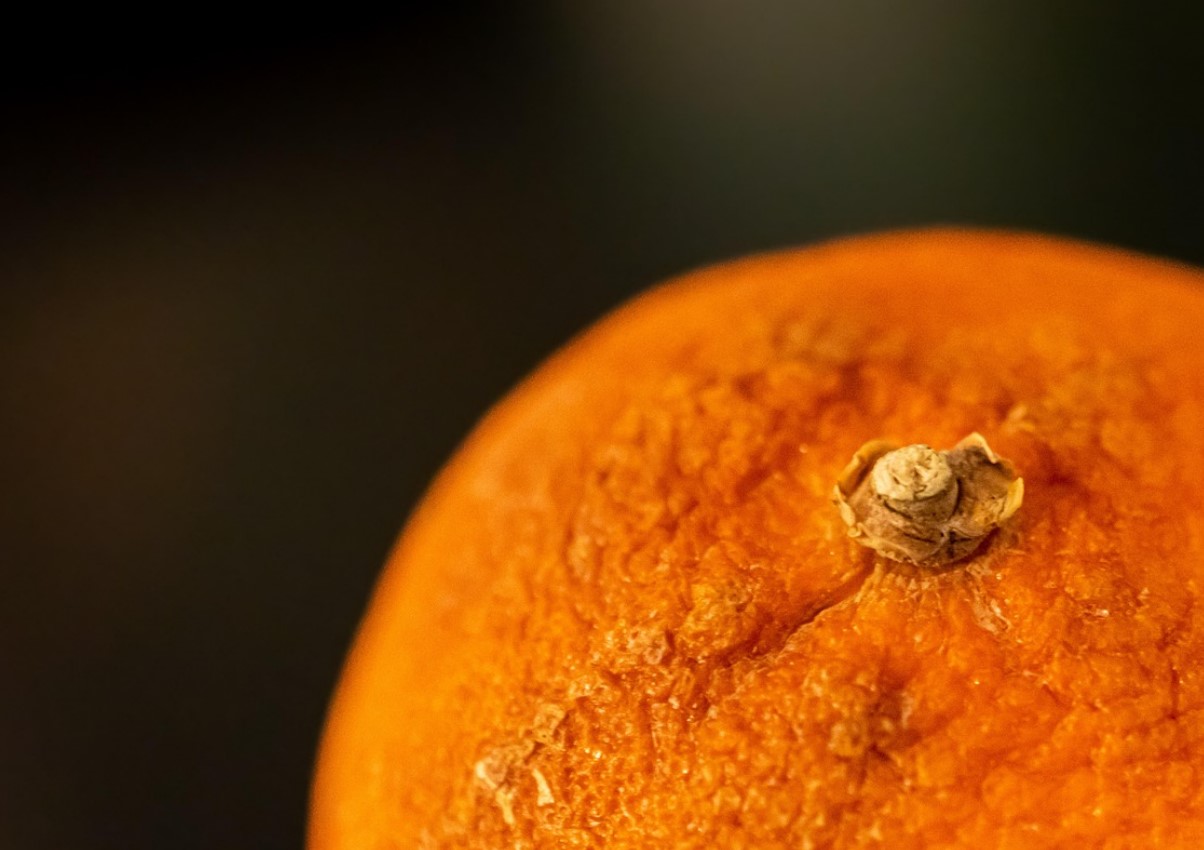 Ärge visake mandariinikoori ära! Nendest valmistatud väetis aitab teie taimedel kasvada.