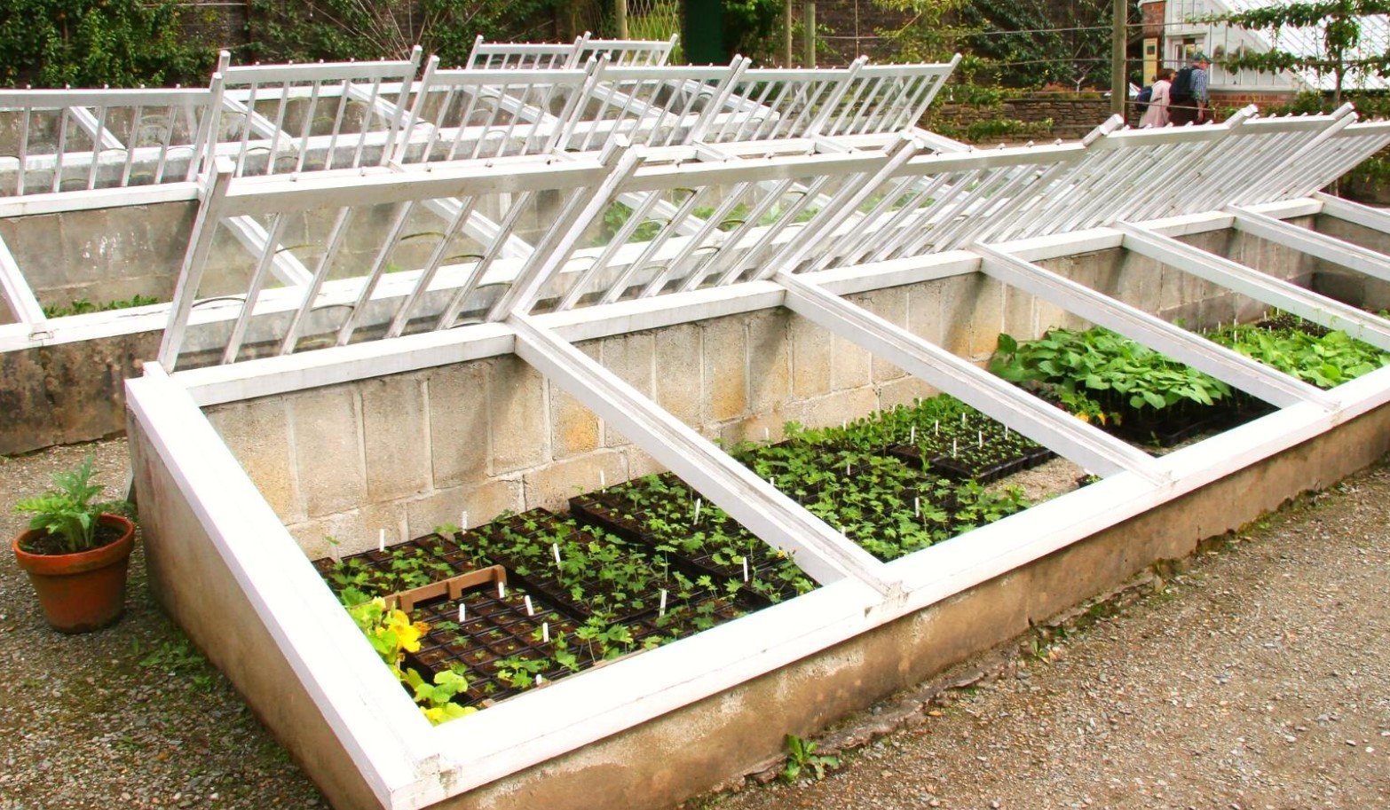 Kuidas pikendada aianduse hooaega Eestis: kerged tunnelid, kasvuhooned ja katused, mis toimivad