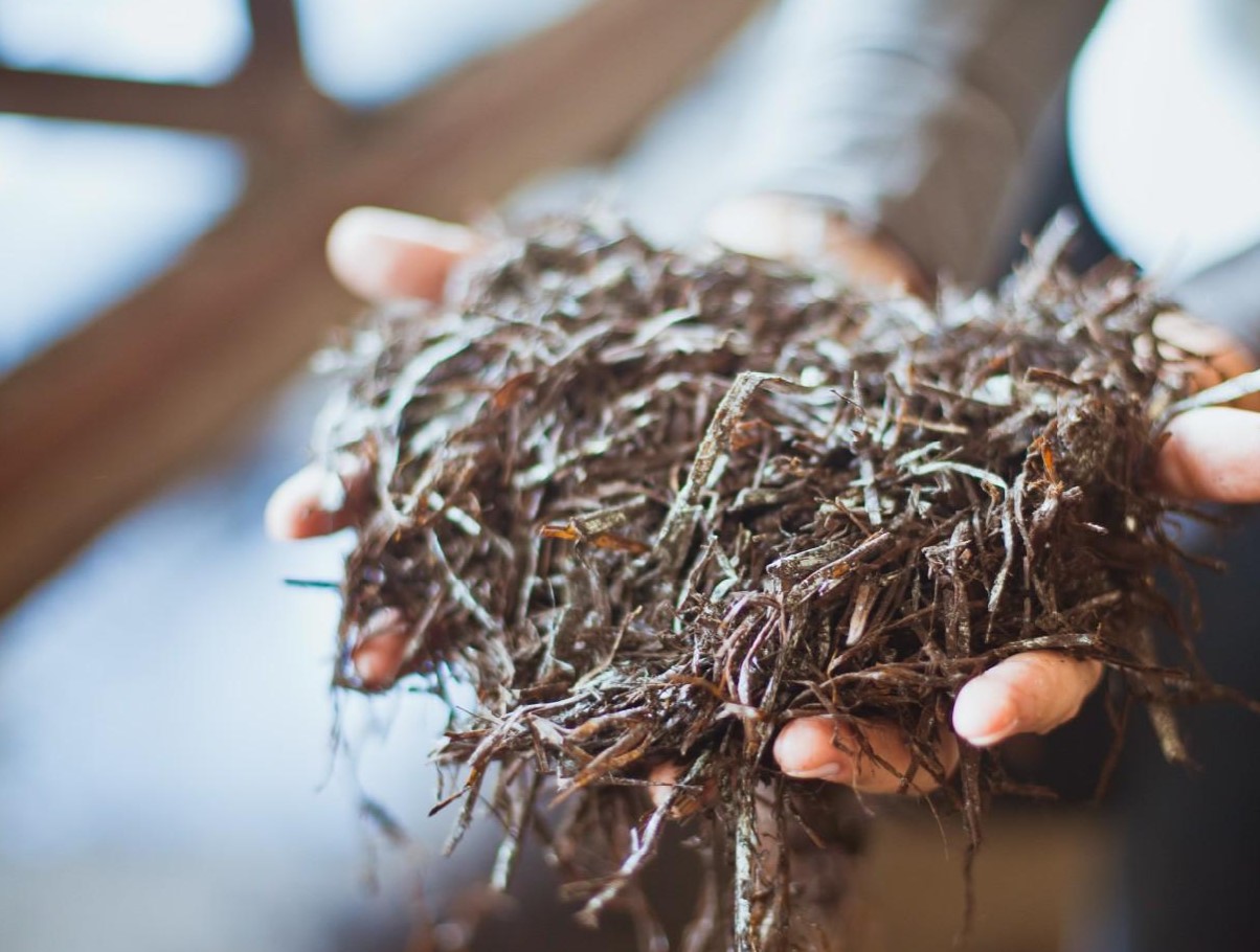 Kompost – jätkusuutlike substraatide kuningas