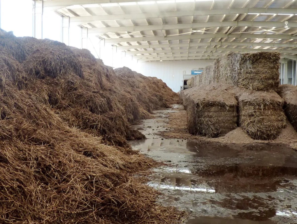 Kompost – jätkusuutlike substraatide kuningas