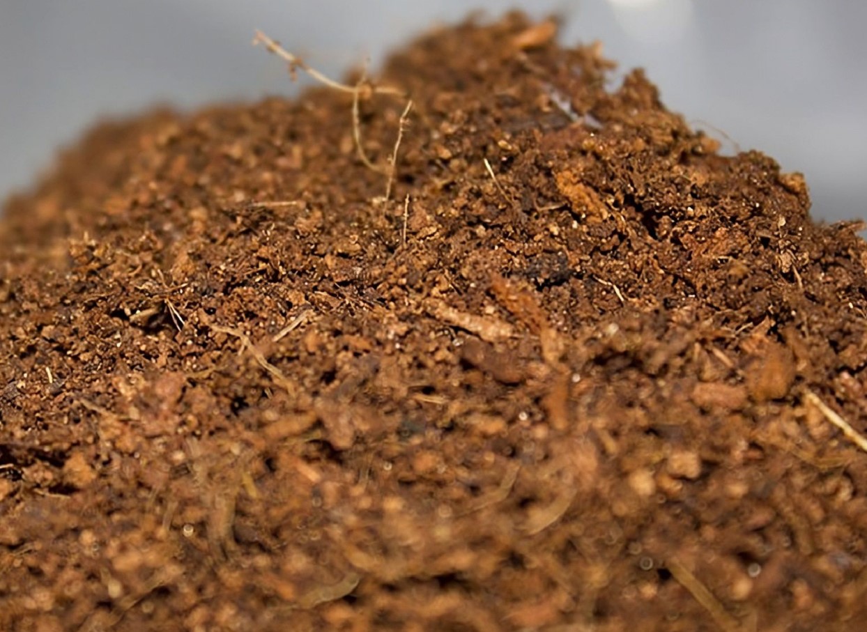 Kompost – jätkusuutlike substraatide kuningas