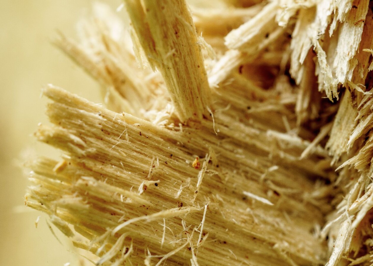 Wood Fibre – puidukiud: looduslik struktuur kaasaegsete võimalustega