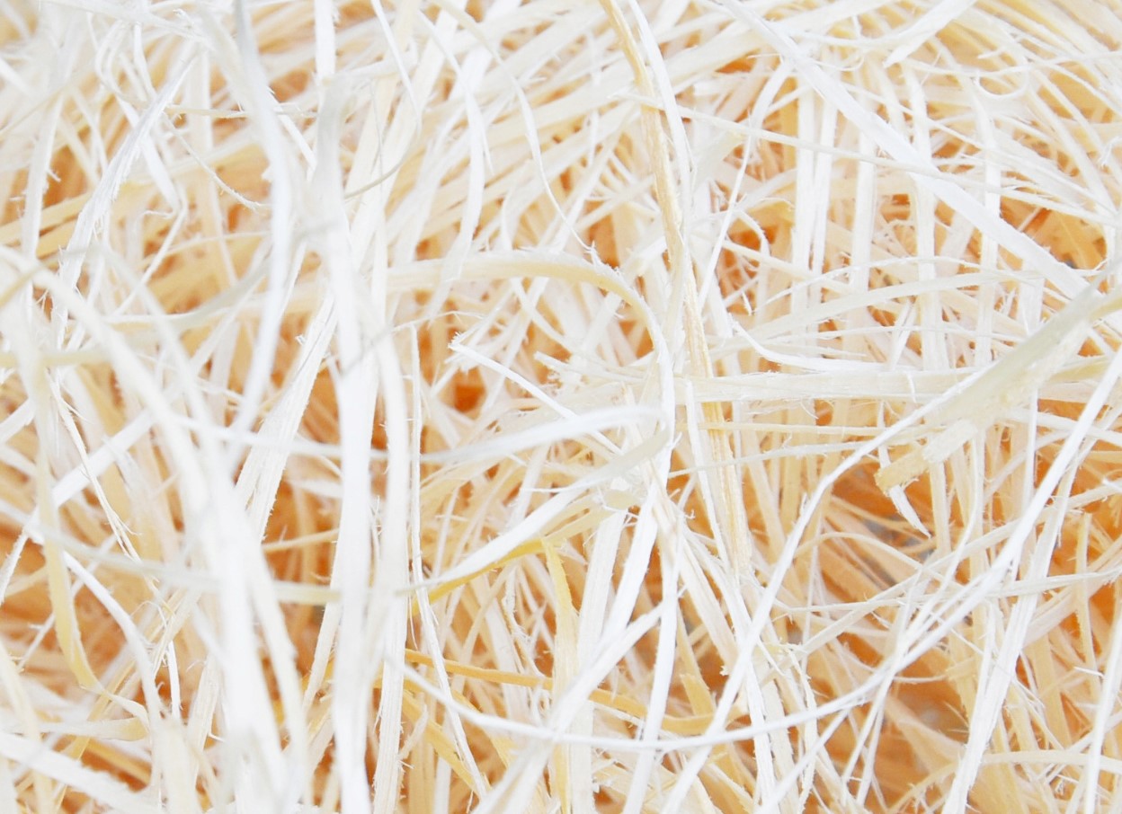 Wood Fibre – puidukiud: looduslik struktuur kaasaegsete võimalustega