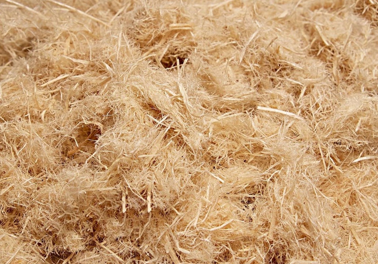 Wood Fibre – puidukiud: looduslik struktuur kaasaegsete võimalustega